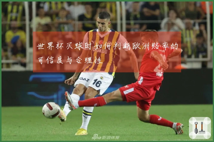 世界杯买球时如何判断欧洲赔率的可信度与合理性