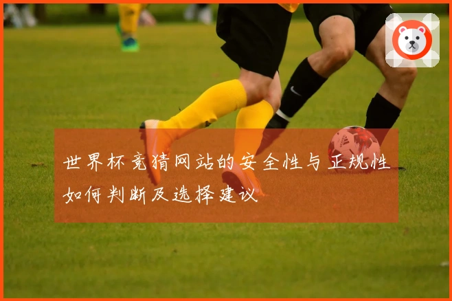 世界杯竞猜网站的安全性与正规性如何判断及选择建议