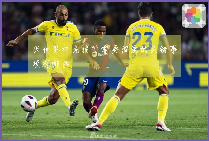 买世界杯竞猜时需要留意的关键事项有哪些