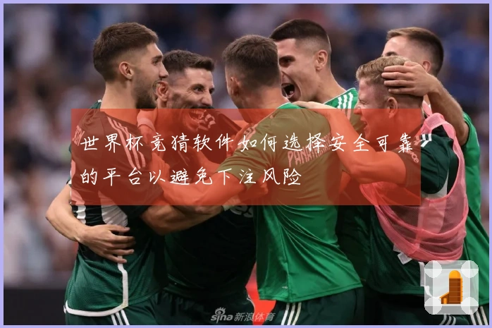 世界杯竞猜软件如何选择安全可靠的平台以避免下注风险