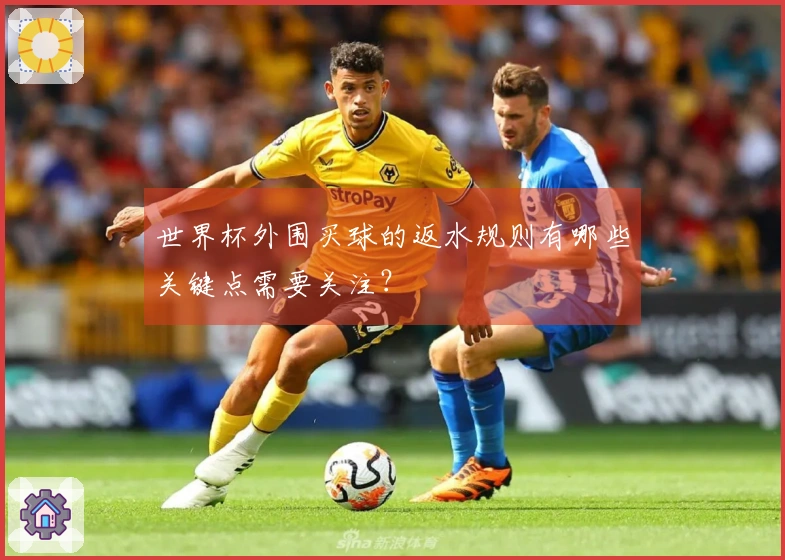 世界杯外围买球的返水规则有哪些关键点需要关注？