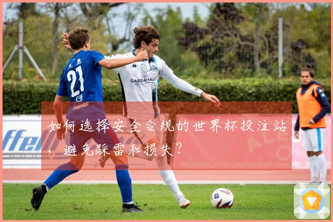 如何选择安全合规的世界杯投注站，避免踩雷和损失？