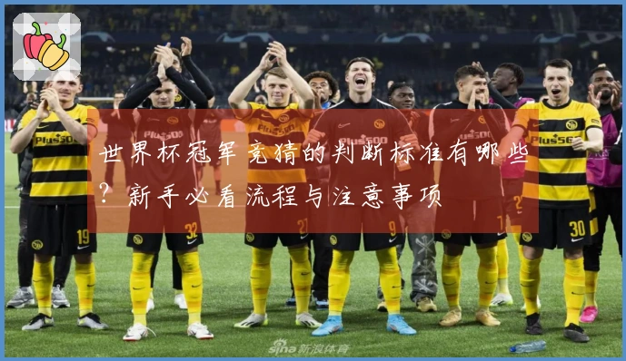 世界杯冠军竞猜的判断标准有哪些?新手必看流程与注意事项