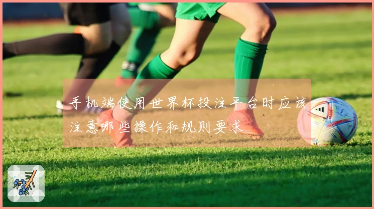 手机端使用世界杯投注平台时应该注意哪些操作和规则要求