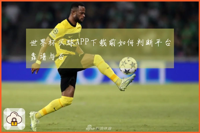 世界杯买球APP下载前如何判断平台靠谱与否