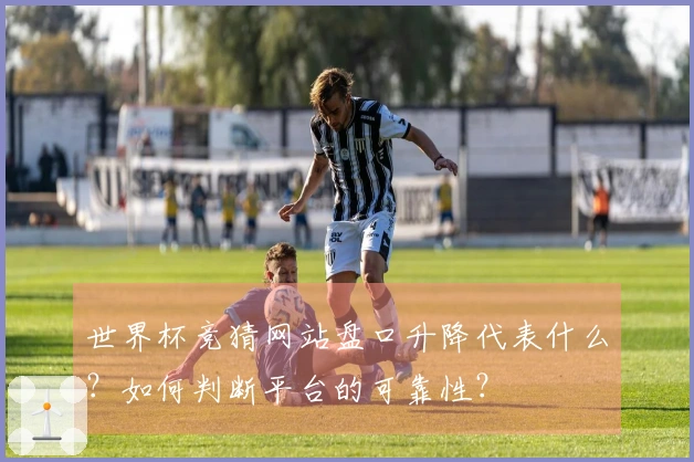 世界杯竞猜网站盘口升降代表什么？如何判断平台的可靠性？