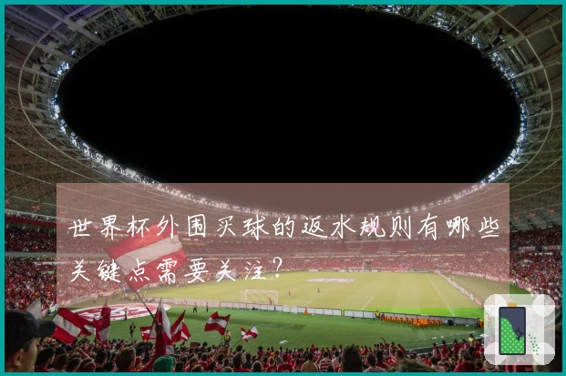 世界杯外围买球的返水规则有哪些关键点需要关注？