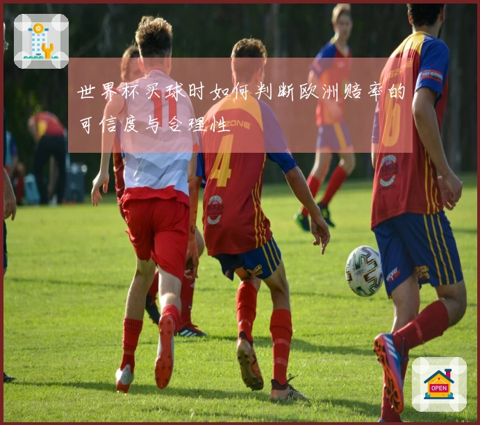 世界杯买球时如何判断欧洲赔率的可信度与合理性