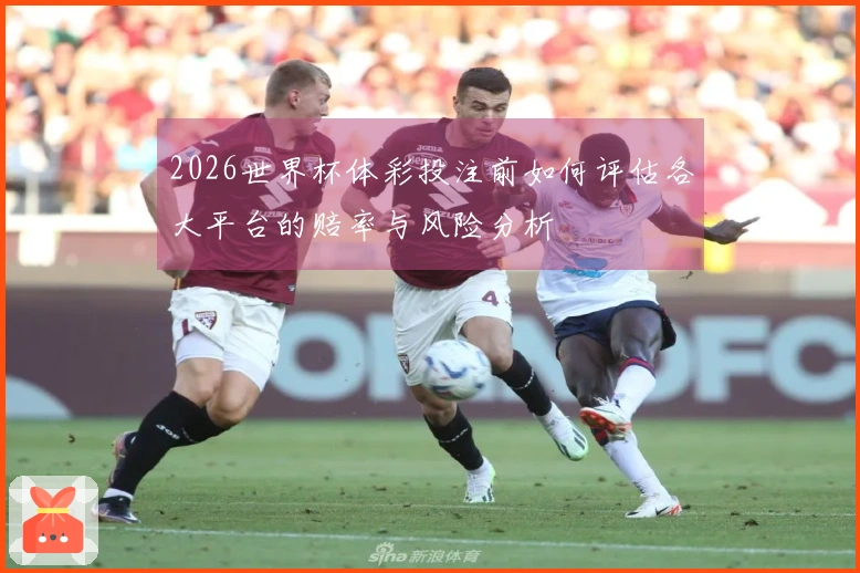 2026世界杯体彩投注前如何评估各大平台的赔率与风险分析