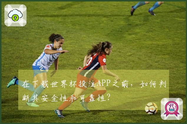在下载世界杯投注APP之前，如何判断其安全性和可靠性？