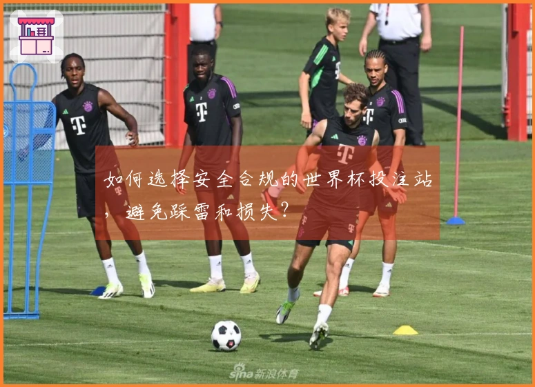 如何选择安全合规的世界杯投注站，避免踩雷和损失？