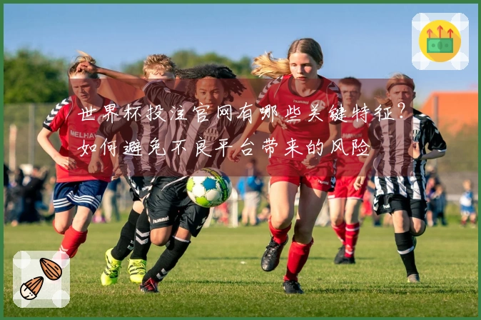 世界杯投注官网有哪些关键特征？如何避免不良平台带来的风险