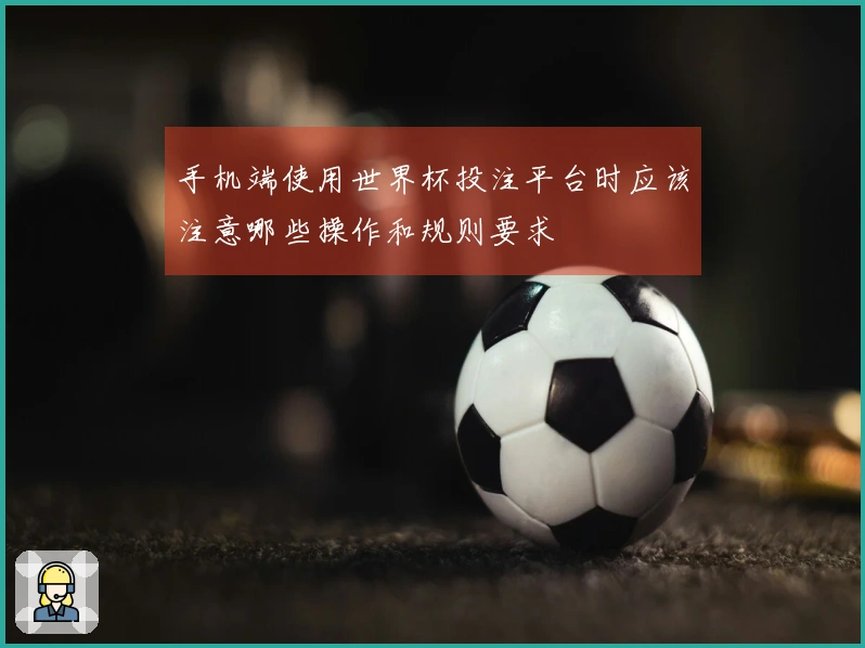 手机端使用世界杯投注平台时应该注意哪些操作和规则要求