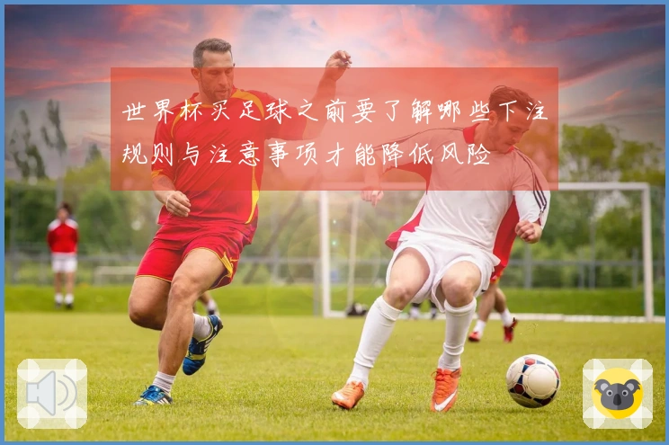 世界杯买足球之前要了解哪些下注规则与注意事项才能降低风险