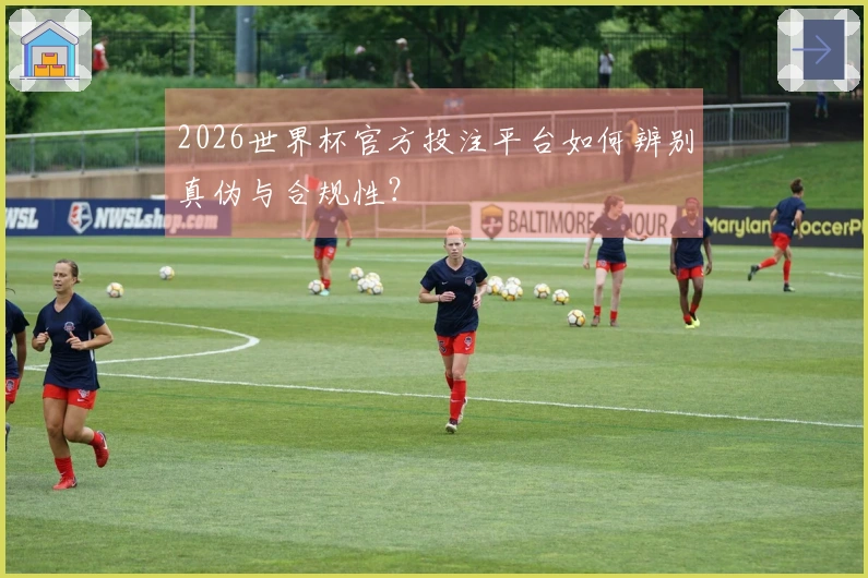 2026世界杯官方投注平台如何辨别真伪与合规性？